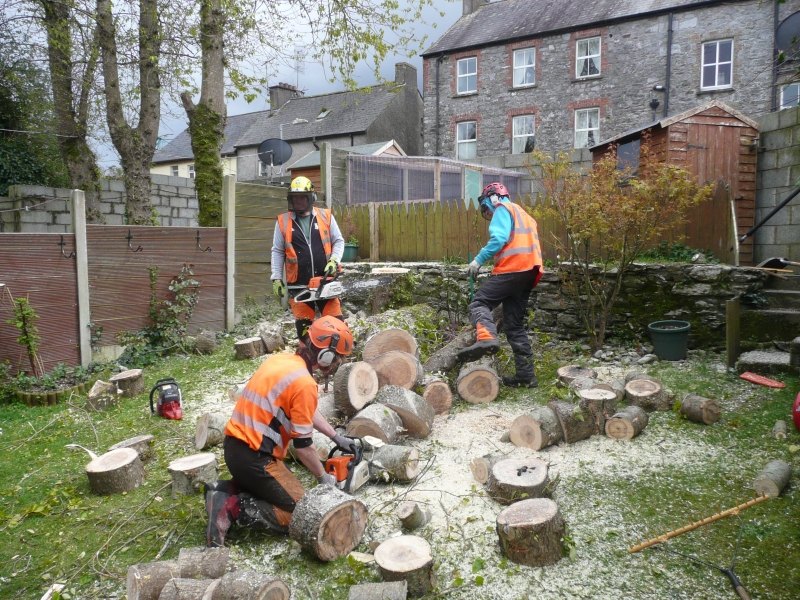 Advanced Tree Care work photograph 1
