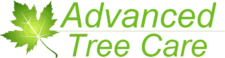 Advanced Tree Care